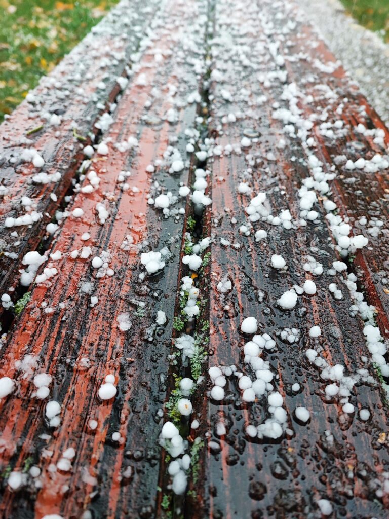 Hailstones after a storm, hail damage insurance claim