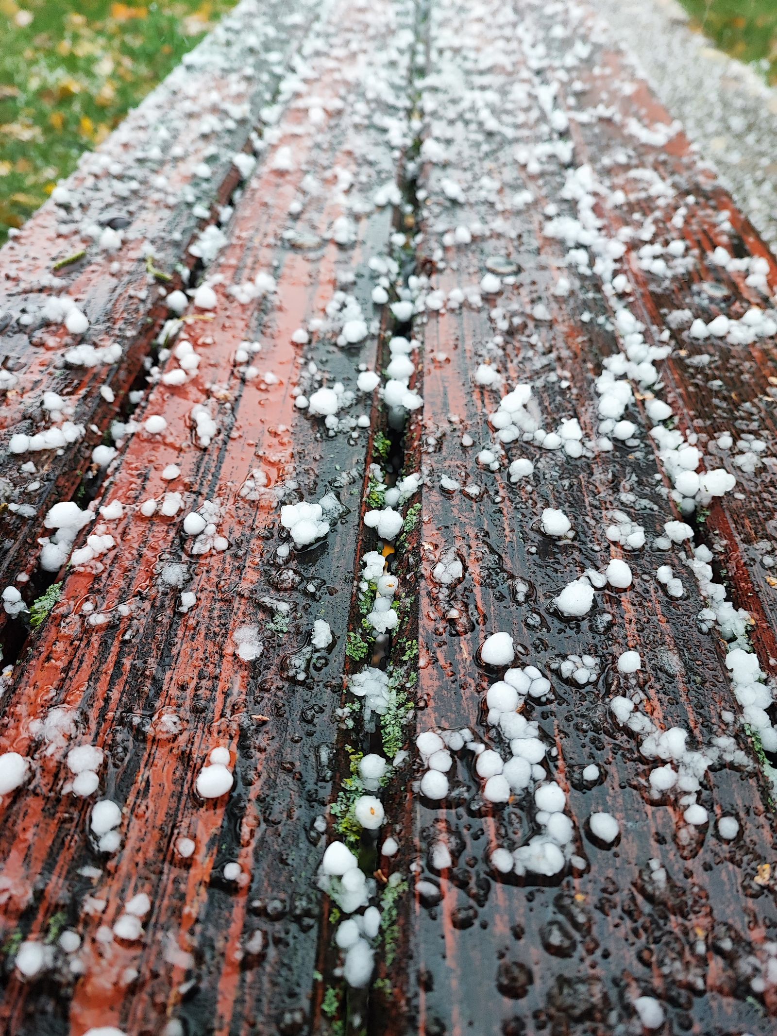 Hailstones after a storm, hail damage insurance claim