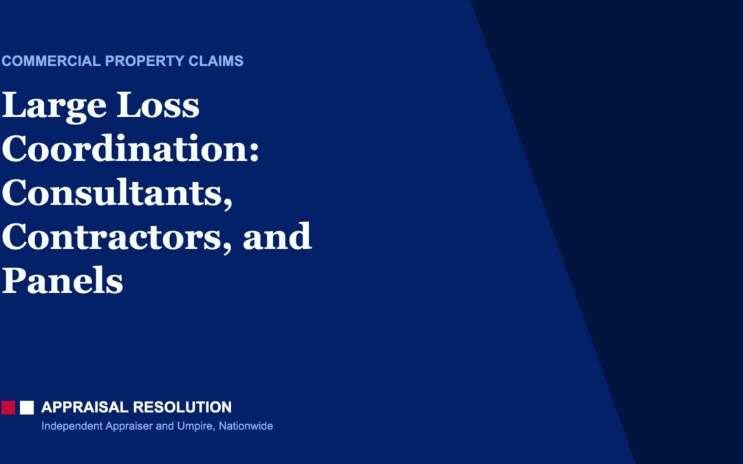Large Loss Coordination: Consultants, Contractors, and Panels